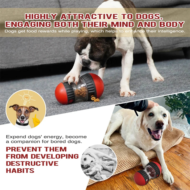 Interactive Dog Toy to Increase Intelligence Elliptical Track Rolling Ball Leaky Food