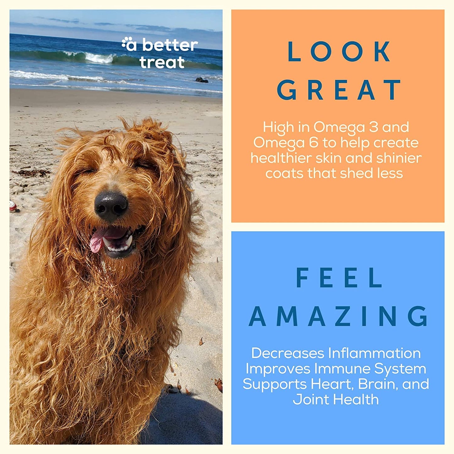 Freeze Dried Salmon Dog Treats, Wild Caught, Single Ingredient | Natural High Value | Gluten Free, Grain Free, High Protein, Diabetic Friendly | Natural Fish Oil | Made in the USA