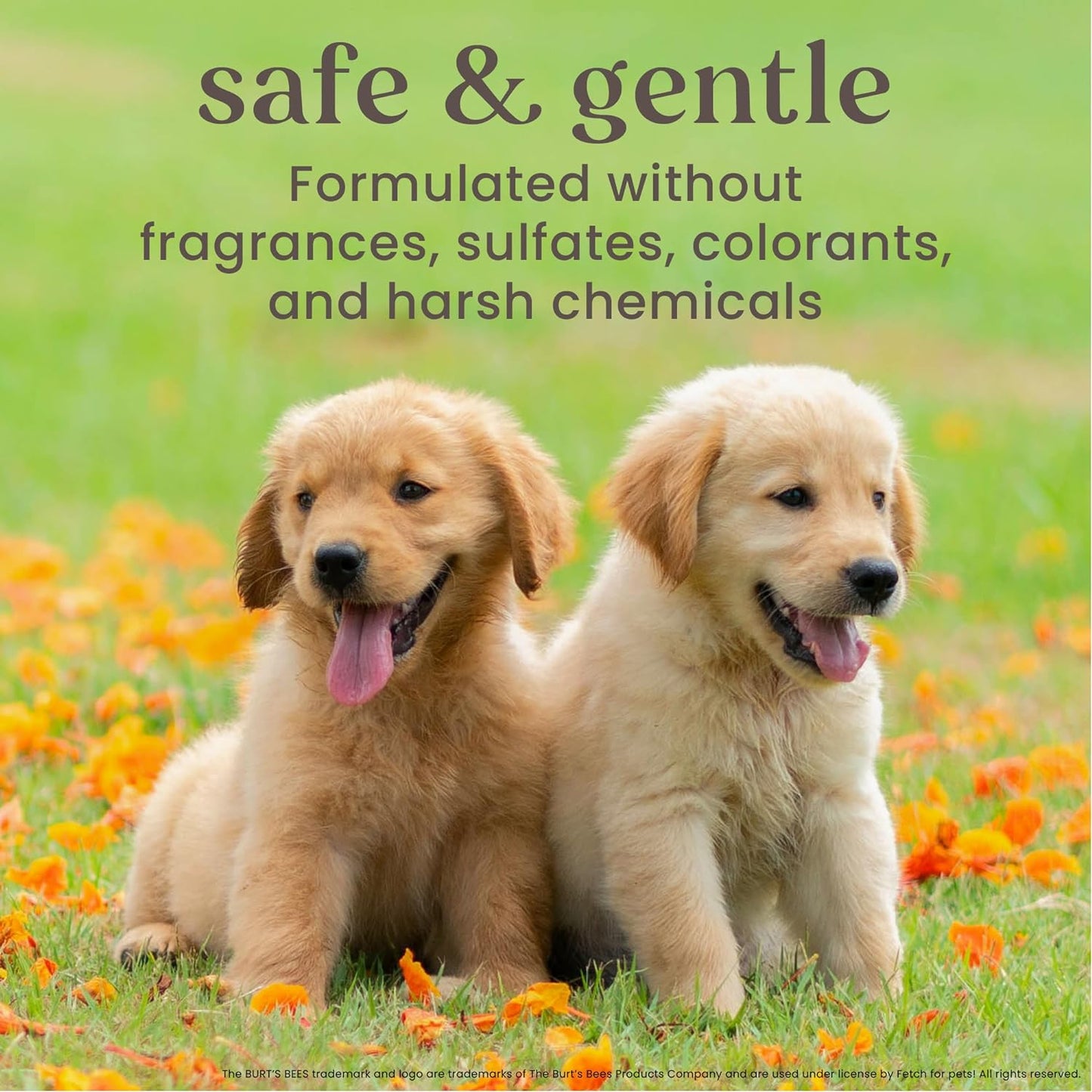 Puppies Naturally Derived Tearless 2 in 1 Shampoo and Conditioner - Made with Buttermilk and Linseed Oil - Best Tearless Puppy Shampoo for Gentle Skin, 16 Oz