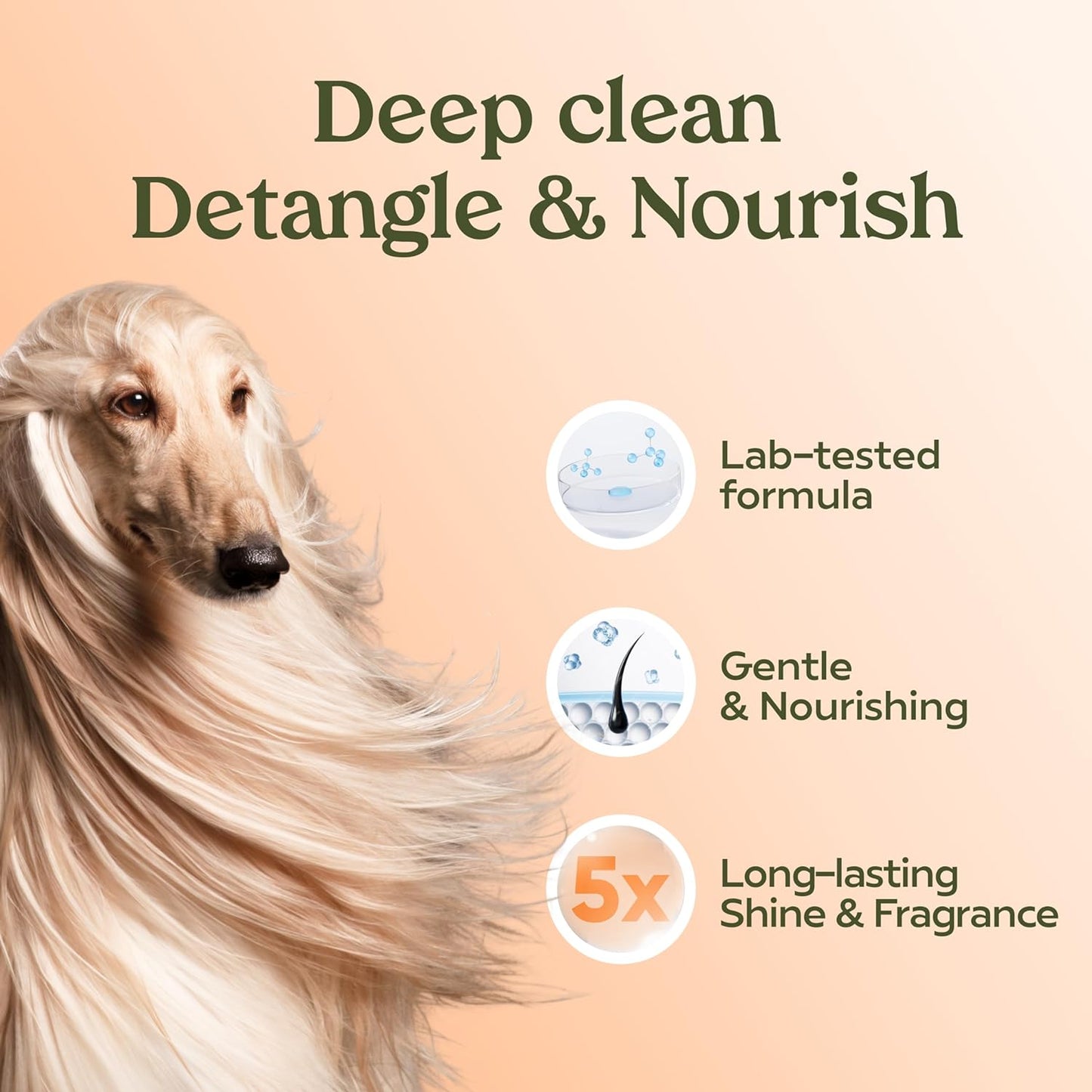 Pawfume Dog Shampoo and Conditioner – Hypoallergenic Dog Shampoo for Smelly Dogs – Best Dog Shampoos & Conditioners – Probiotic Pet Shampoo for Dogs – Best Dog Shampoo for Puppies (Show Dog)