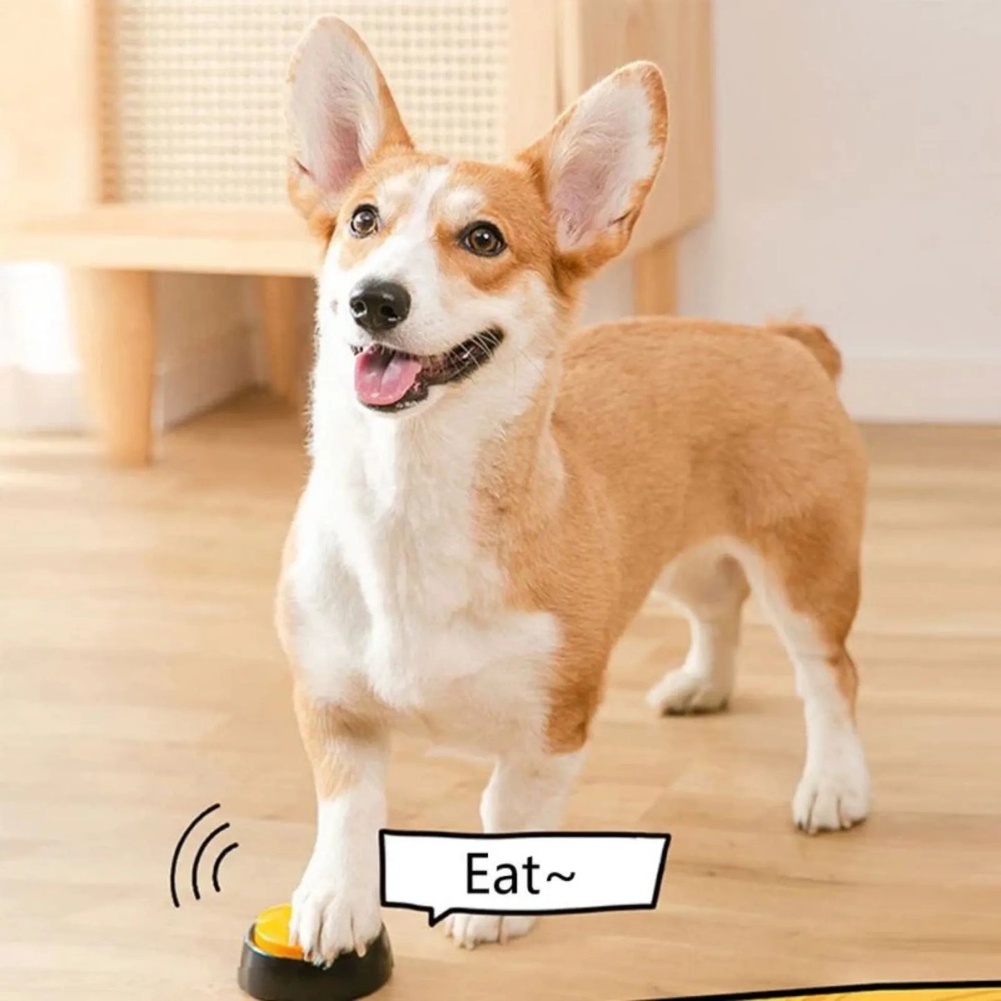 Dog Communication Voice Recording Button for Pet Training Buzzer 30 Seconds