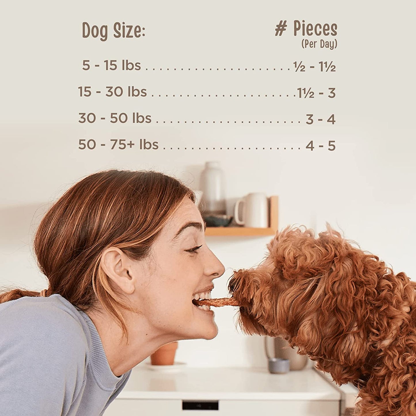 Chicken Jerky Healthy All Natural Dog Treats Human Grade Made in USA Grain Free 24 Oz