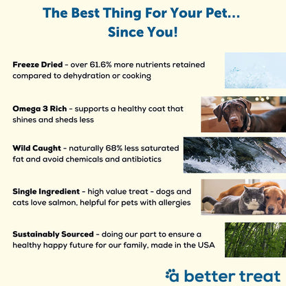 Freeze Dried Salmon Dog Treats, Wild Caught, Single Ingredient | Natural High Value | Gluten Free, Grain Free, High Protein, Diabetic Friendly | Natural Fish Oil | Made in the USA