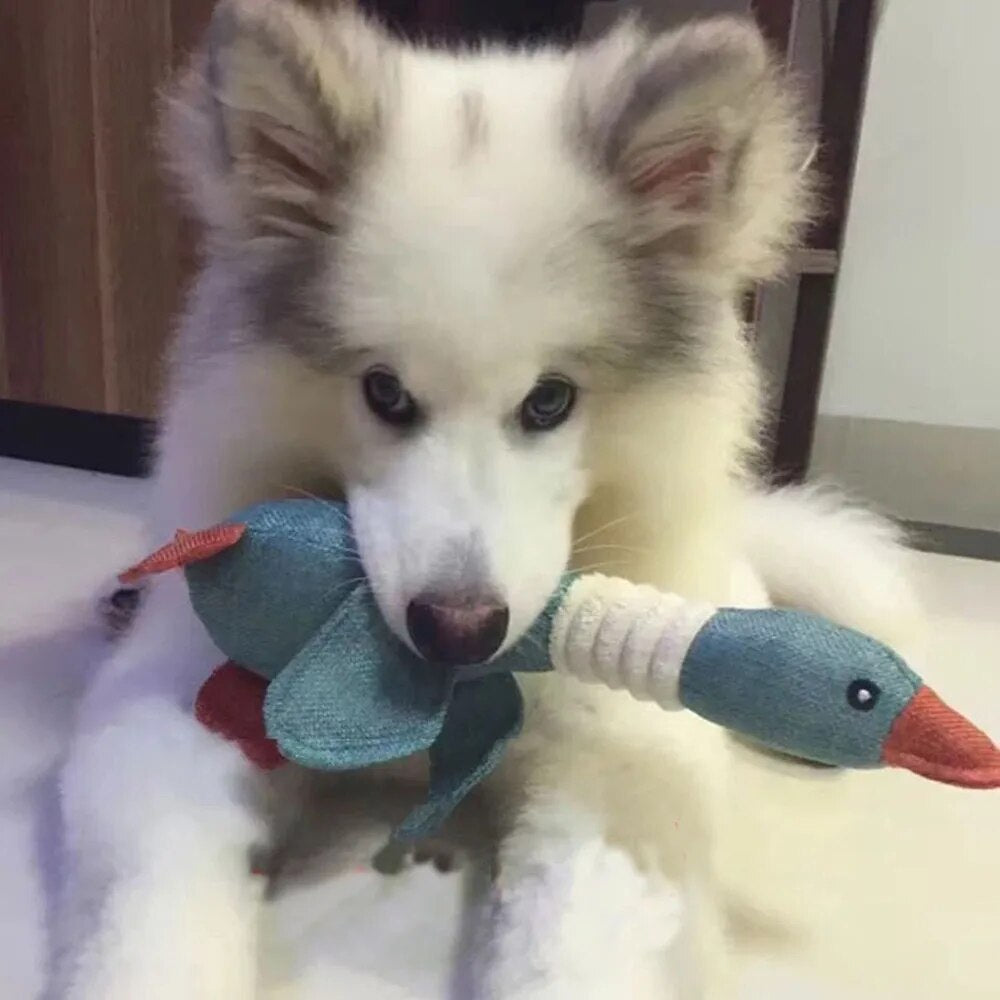 Pet Mallard Duck Dog Toy for Aggressive Chewers