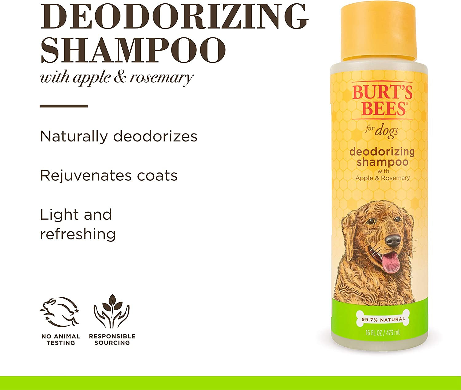 Deodorizing Dog Shampoo with Apple & Rosemary - Naturally Derived Dog Shampoo for Smelly Dogs - Cruelty Free, Formulated without Sulfates and Parabens, Made in USA, 16 Oz