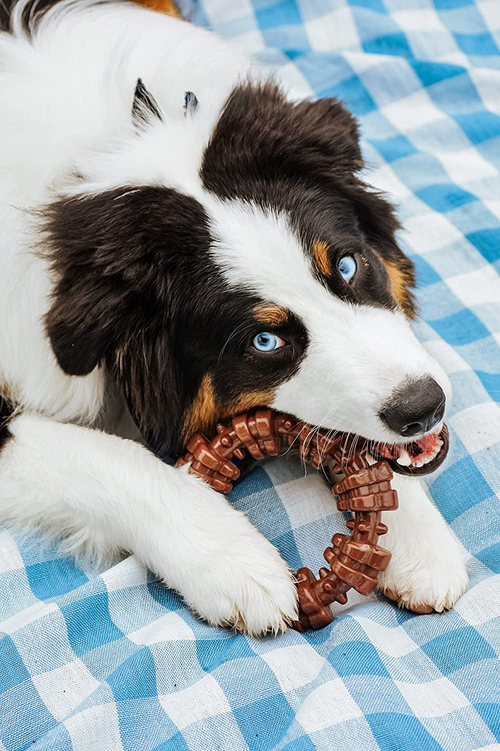 Power Chew Textured Dog Chew Ring Toy, Dog Toys for Aggressive Chewers, Flavor Medley, X-Large/Souper (1 Count)