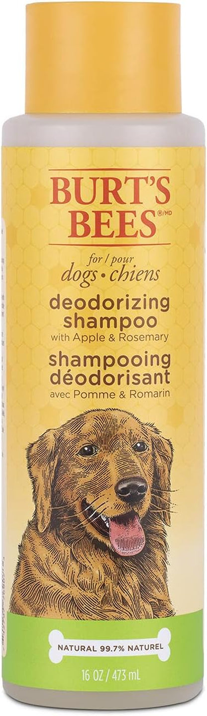 Deodorizing Dog Shampoo with Apple & Rosemary - Naturally Derived Dog Shampoo for Smelly Dogs - Cruelty Free, Formulated without Sulfates and Parabens, Made in USA, 16 Oz