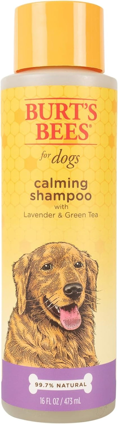 Naturally Derived Calming Dog Shampoo with Lavender and Green Tea - Cleansing Lavender Dog Shampoo - Cruelty Free, Made in USA, 16 Oz