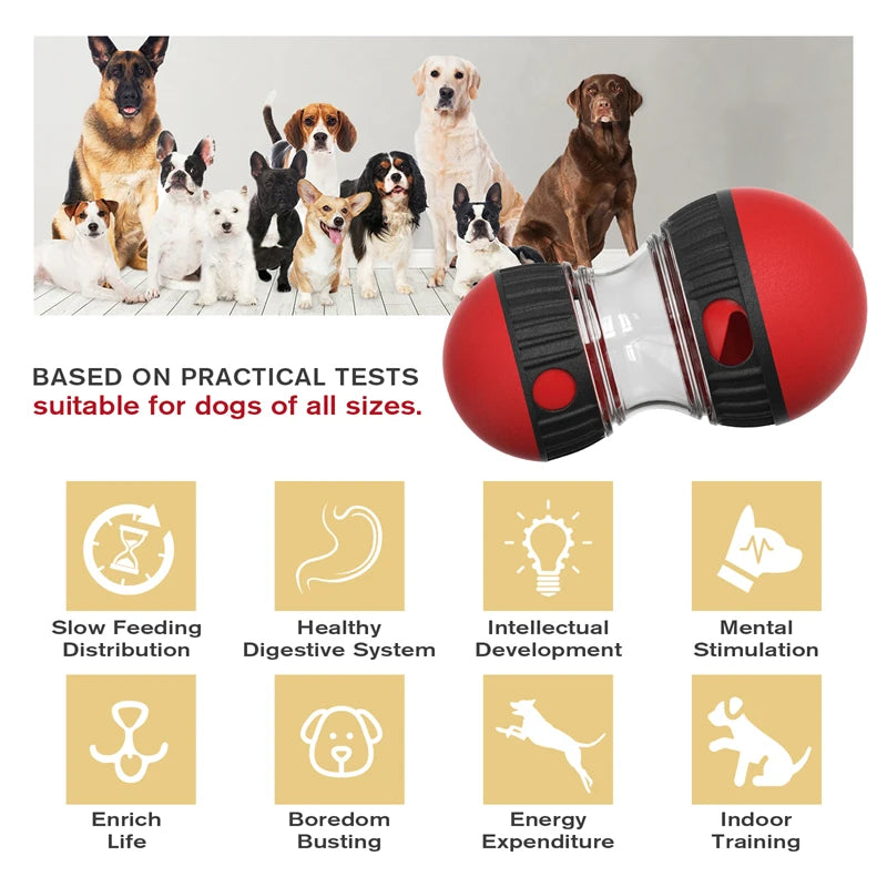 Interactive Dog Toy to Increase Intelligence Elliptical Track Rolling Ball Leaky Food 
