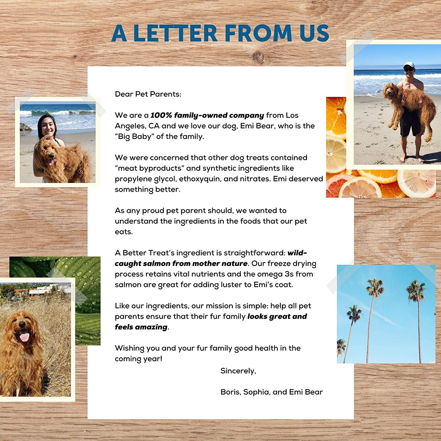 Freeze Dried Salmon Dog Treats, Wild Caught, Single Ingredient | Natural High Value | Gluten Free, Grain Free, High Protein, Diabetic Friendly | Natural Fish Oil | Made in the USA